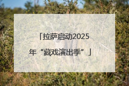 拉萨启动2025年“藏戏演出季”