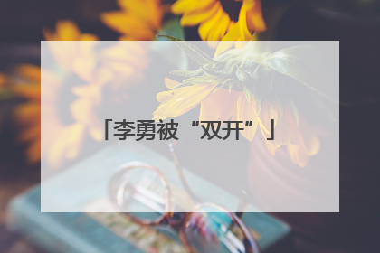 李勇被“双开”