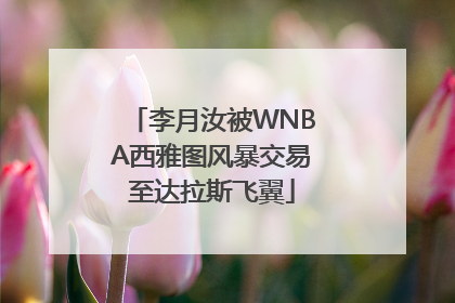 李月汝被WNBA西雅图风暴交易至达拉斯飞翼