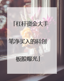 杠杆资金大手笔净买入的科创板股曝光