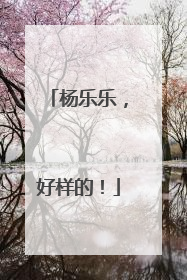 杨乐乐，好样的！