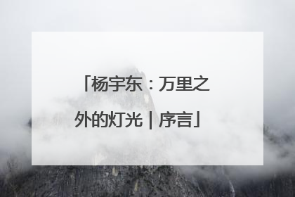 杨宇东：万里之外的灯光｜序言