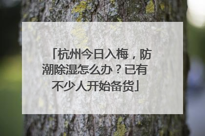 杭州今日入梅，防潮除湿怎么办？已有不少人开始备货