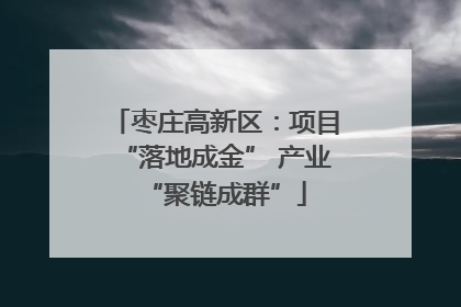 枣庄高新区：项目“落地成金” 产业“聚链成群”