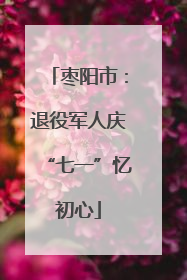 枣阳市：退役军人庆“七一”忆初心