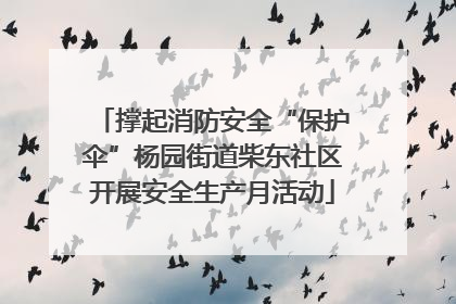 撑起消防安全“保护伞”杨园街道柴东社区开展安全生产月活动