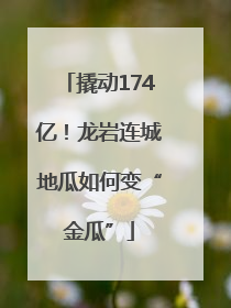 撬动174亿！龙岩连城地瓜如何变“金瓜”