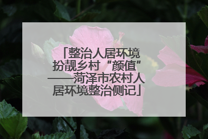 整治人居环境 扮靓乡村“颜值”——菏泽市农村人居环境整治侧记
