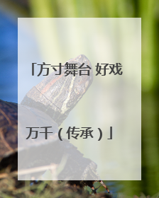 方寸舞台 好戏万千（传承）