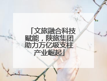 文旅融合科技赋能，陕旅集团助力万亿级支柱产业崛起