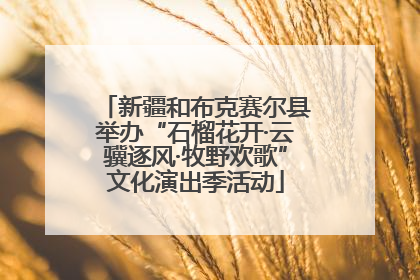 新疆和布克赛尔县举办“石榴花开·云骥逐风·牧野欢歌”文化演出季活动