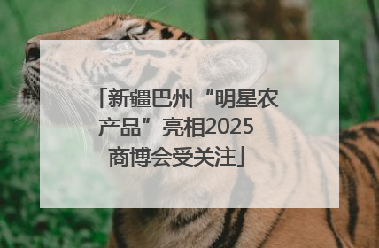 新疆巴州“明星农产品”亮相2025商博会受关注
