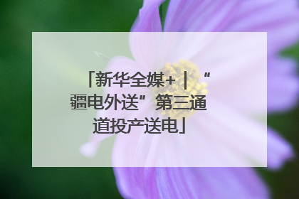 新华全媒+｜“疆电外送”第三通道投产送电
