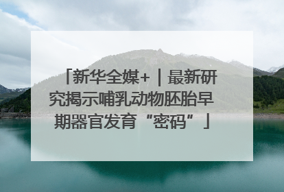 新华全媒+｜最新研究揭示哺乳动物胚胎早期器官发育“密码”