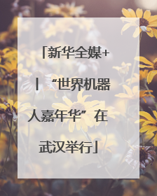 新华全媒+丨“世界机器人嘉年华”在武汉举行