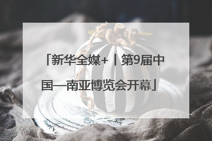 新华全媒+丨第9届中国—南亚博览会开幕