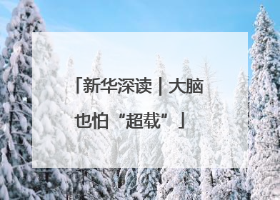 新华深读｜大脑也怕“超载”