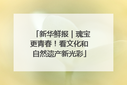 新华鲜报｜瑰宝更青春！看文化和自然遗产新光彩