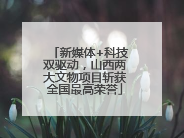 新媒体+科技双驱动，山西两大文物项目斩获全国最高荣誉