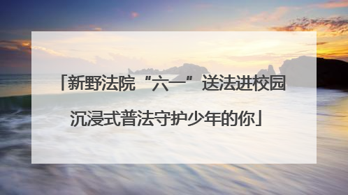 新野法院“六一”送法进校园 沉浸式普法守护少年的你