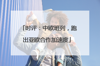 时评：中欧班列，跑出亚欧合作加速度