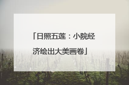 日照五莲：小院经济绘出大美画卷