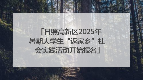 日照高新区2025年暑期大学生“返家乡”社会实践活动开始报名