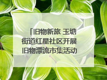 旧物新旅 玉塘街道红星社区开展旧物漂流市集活动   