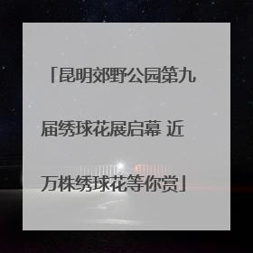 昆明郊野公园第九届绣球花展启幕 近万株绣球花等你赏