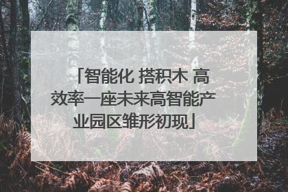 智能化 搭积木 高效率一座未来高智能产业园区雏形初现