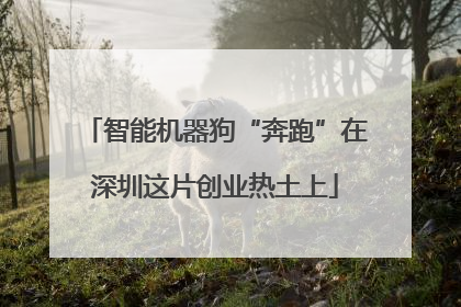 智能机器狗“奔跑”在深圳这片创业热土上