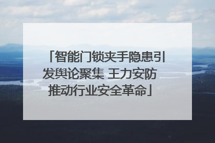 智能门锁夹手隐患引发舆论聚集 王力安防推动行业安全革命