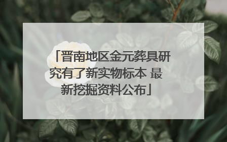 晋南地区金元葬具研究有了新实物标本 最新挖掘资料公布
