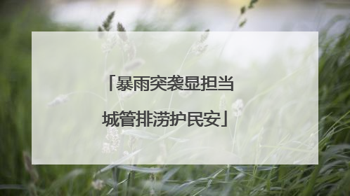 暴雨突袭显担当 城管排涝护民安