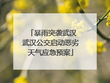 暴雨突袭武汉 武汉公交启动恶劣天气应急预案