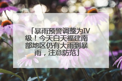暴雨预警调整为Ⅳ级！今天白天福建南部地区仍有大雨到暴雨，注意防范