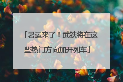 暑运来了！武铁将在这些热门方向加开列车