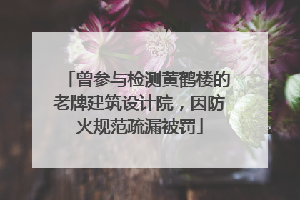 曾参与检测黄鹤楼的老牌建筑设计院，因防火规范疏漏被罚