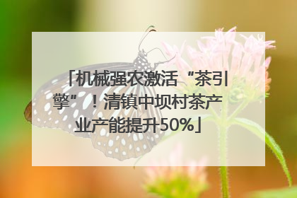 机械强农激活“茶引擎”！清镇中坝村茶产业产能提升50%