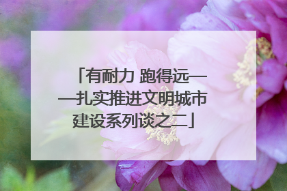 有耐力 跑得远——扎实推进文明城市建设系列谈之二