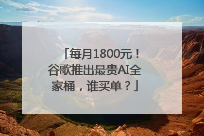每月1800元！谷歌推出最贵AI全家桶，谁买单？