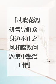 武晓花调研督导群众身边不正之风和腐败问题集中整治工作