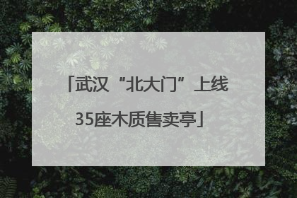 武汉“北大门”上线35座木质售卖亭