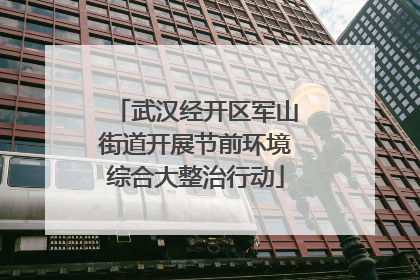 武汉经开区军山街道开展节前环境综合大整治行动