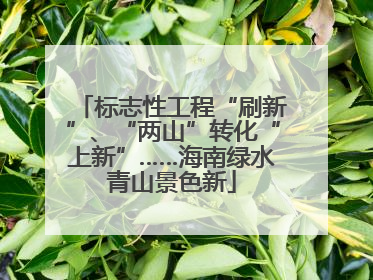 标志性工程“刷新”、“两山”转化“上新”……海南绿水青山景色新