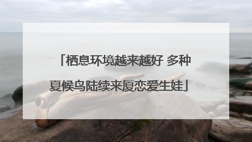 栖息环境越来越好 多种夏候鸟陆续来厦恋爱生娃