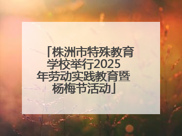 株洲市特殊教育学校举行2025年劳动实践教育暨杨梅节活动
