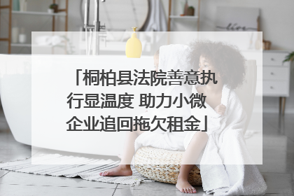 桐柏县法院善意执行显温度 助力小微企业追回拖欠租金