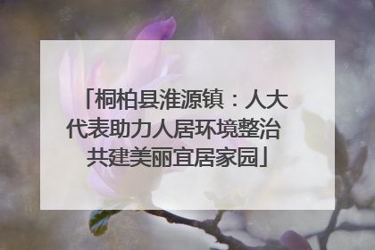 桐柏县淮源镇：人大代表助力人居环境整治 共建美丽宜居家园