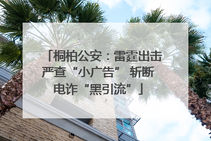 桐柏公安：雷霆出击严查“小广告” 斩断电诈“黑引流”